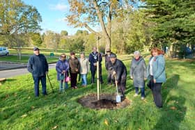 Four new trees have been planted on the East Court Estate, in East Grinstead, as part of the Queen’s Green Canopy to mark the historic Platinum Jubilee