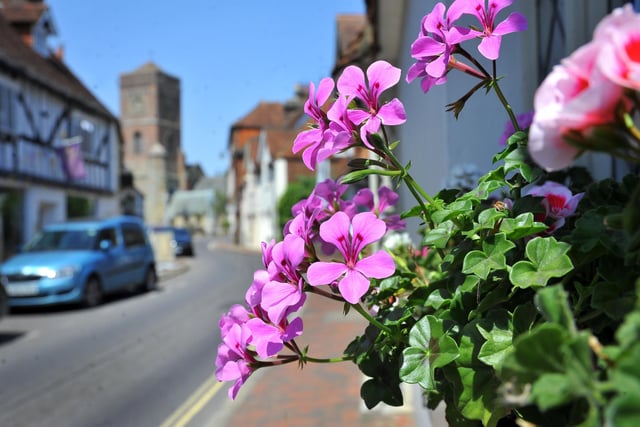 Petworth In Bloom