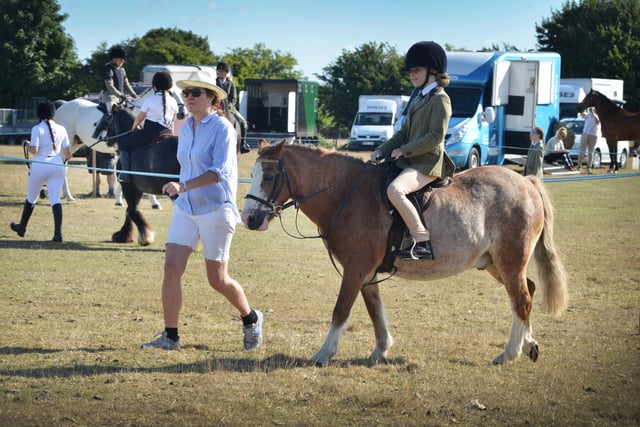 Rye and District Country Show 2022