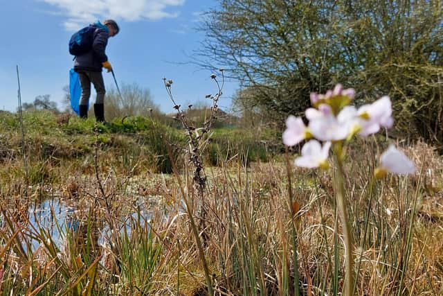 Litter picks and brand audit workshops have been organised for locations in Hassocks, Steyning, Shoreham and Lewes, with further events planned for Burgess Hill, Haywards Heath, Uckfield and Barcombe.