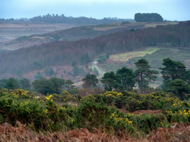 A popular East Sussex spot for scenic walks in the ancient woodland, Ashdown Forest is also home to The Pooh Walks across the 100 Aker Wood. It was the inspiration for A.A. Milne's Winnie the Pooh stories.