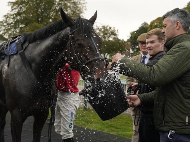 Fontwell Park jump racing action, October 2026