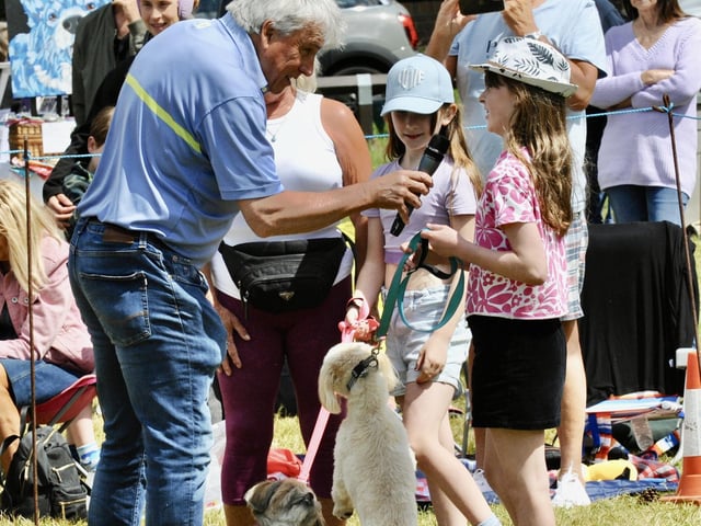 East Preston Festival dog show