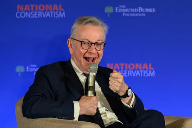 Michael Gove (Photo by Leon Neal/Getty Images)