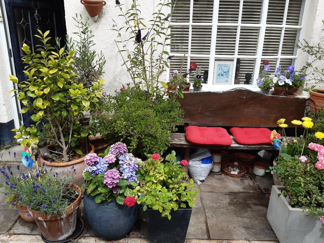 Floral splendour at Brunswick Cottages, a tiny courtyard of four fishermen's houses off the twitten that marks the historic boundary between Worthing and Heene
