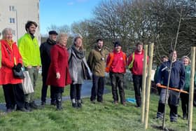 CPRE Sussex, Trees for Cities, BELTA volunteers and Brighton & Hove City Council tree experts at a planting to mark The Queen’s jubilee earlier this year