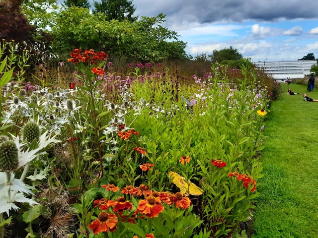 RHS Garden Wisley is a great day out, and it's only just outside of Sussex. Picture: Katherine HM