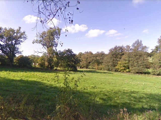"There are many walks around Rother, some wooded with a rich variery of flora and fauna, others through open rolling countryside filled with gentle sheep and soft grass. Each one of them is a joy."