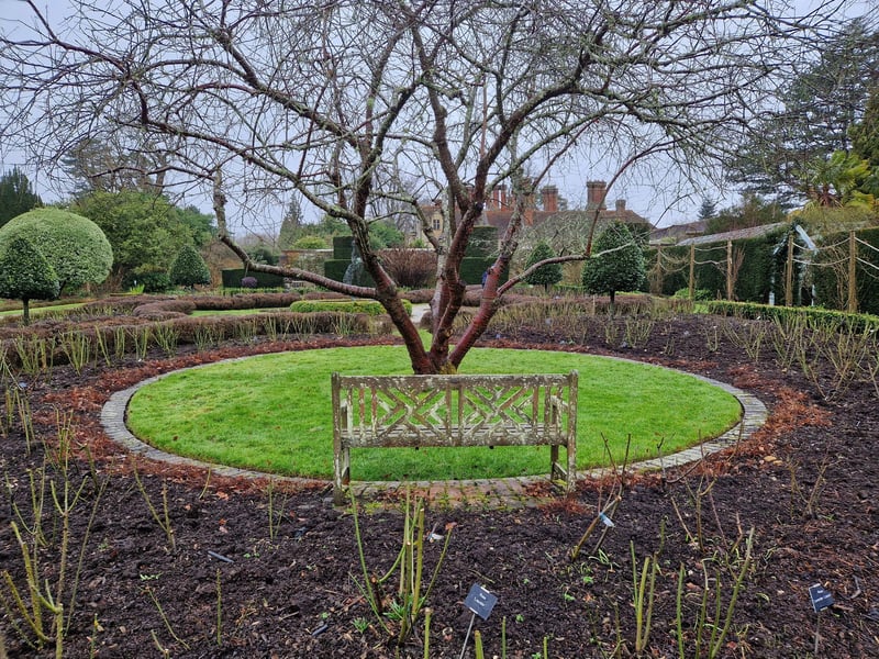 Borde Hill in February 2025