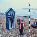 Penguin art installation on beach