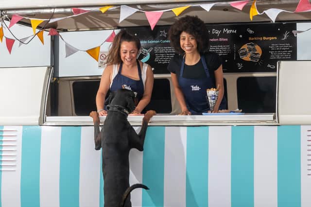 Tailor-made food service, tails.com, launches ‘Fetch of The Day’ - the UK’s first beachside food experience for dogs.