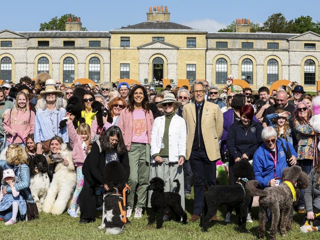 The weekend began with a 'poodle parade' to celebrate the beloved breed. Photo: Kieran Cleeves, PA