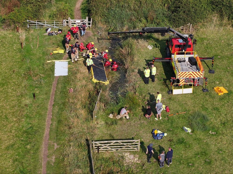 Horse who fell in ditch rescued by West Sussex and Surrey fire crews