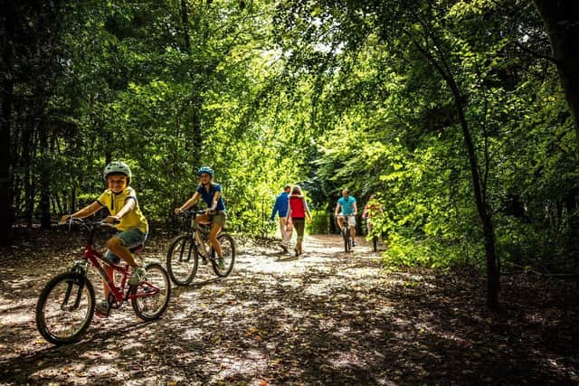 Cyclists and walkers at Friston Forest
