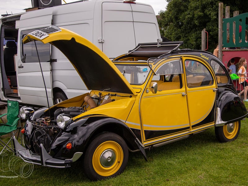 This year's classic car show went down a treat with visitors.