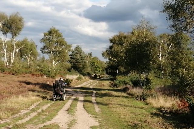 The route starts in the car park of Iping and Stedham Common, a nature reserve managed by Sussex Wildlife Trust and one of the best examples of lowland heath in the National Park.
The 1.25 mile/ 2km circuit is suitable for people with restricted mobility, including all-terrain mobility scooters and families with pushchairs. Typically takes 30 mins to complete. Why not visit the historic market town of Midhurst after for some well deserved refreshment.