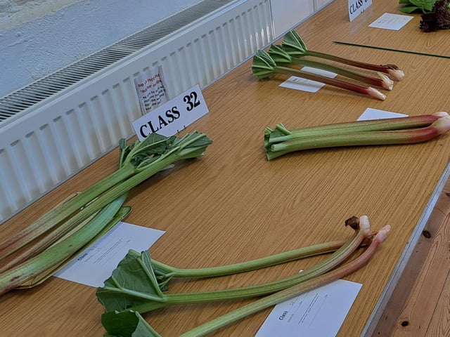 Rhubarb, which had to be base washed but otherwise untouched
