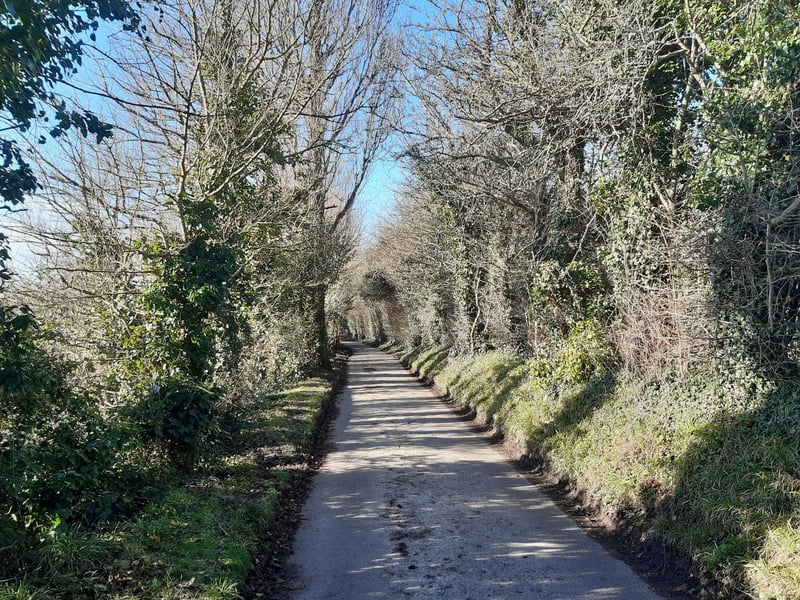 Continue to follow the path, which becomes a road.