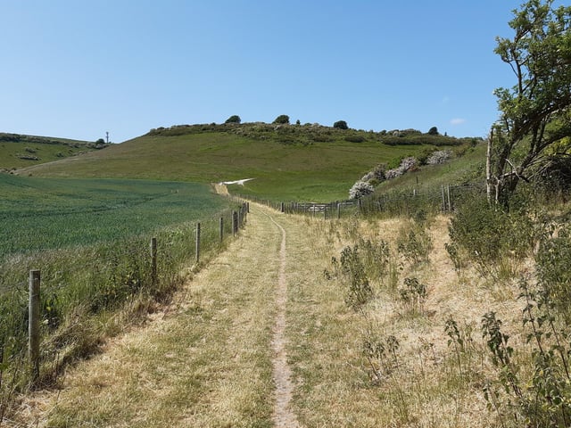 Carry on along the path, heading towards Newmarket Hill