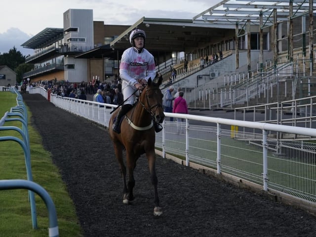 Evening racing at Fontwell Park, June 2025