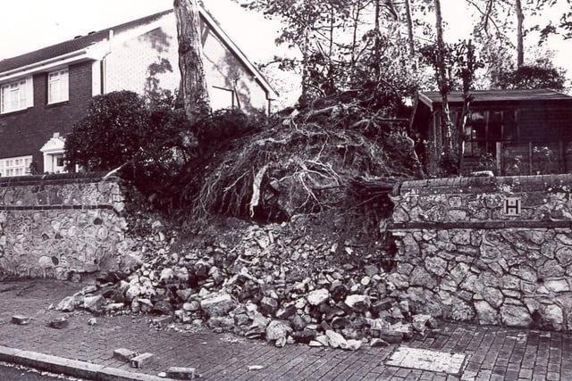 A wall damaged by a fallen tree.