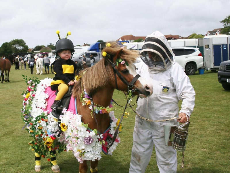 Bexhill Horse Show 2025. Photo by Roberts Photographic.