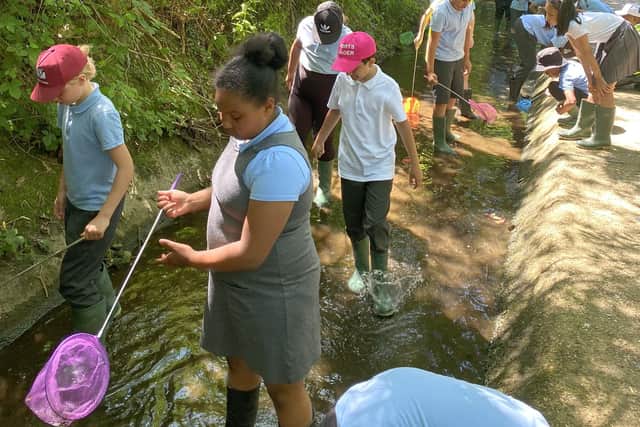 Year 5 students wading through the Ifield Mill Pond water way