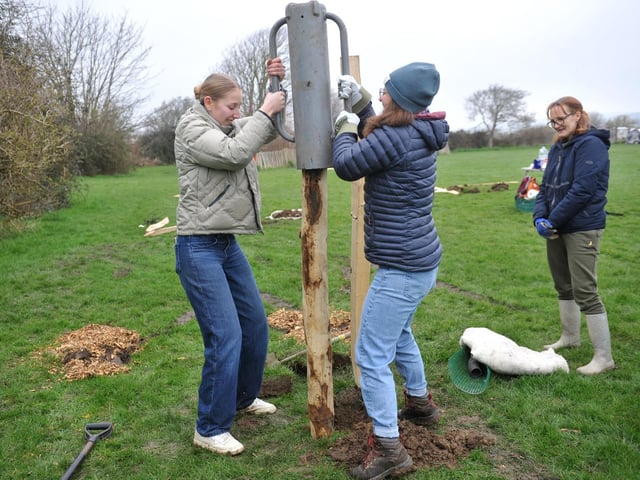 Volunteers helping Lancing Parish Council to grow a greener future in the community