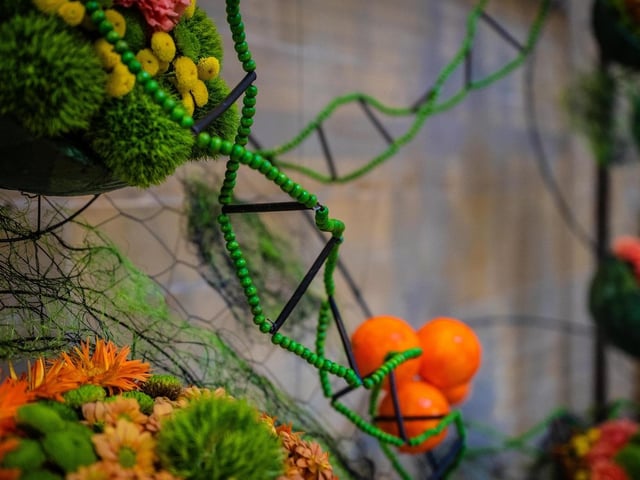 Sense of Place Flower Festival is celebrating the completion of Lancing College Chapel
