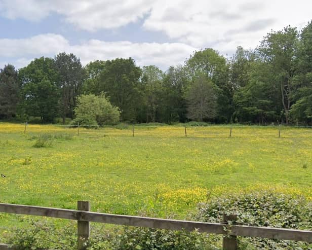 Rydon Homes Limited has applied to build 27 homes in Newick on land to the south of Allington Road. Photo: Google Street View