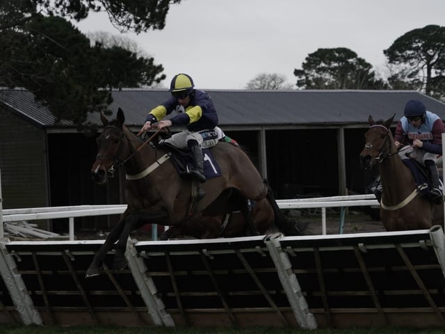 January jump racing at Fontwell Park, 2025