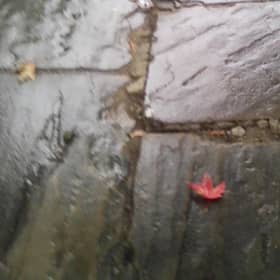 An 86-year-old woman has called for damaged pavements in Horsham to be repaired, saying uneven paving is making life difficult for people who rely on walking frames. Photo: Gwen Holloway