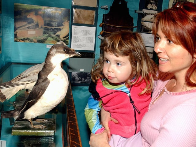 Elaine Linfield and her daughter Jenna looking at the Walter Potter exhibition at Steyning Museum in June 2005
