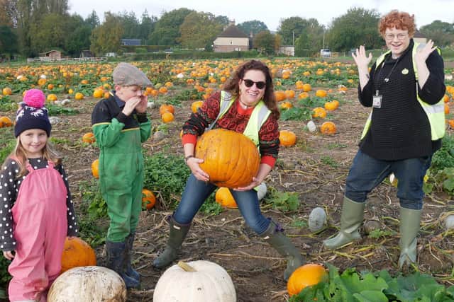 Picking the 'scariest' pumpkin at the Bignor pumpkin patch.