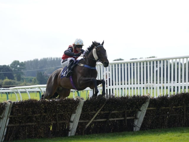 September jump racing at Fontwell Park