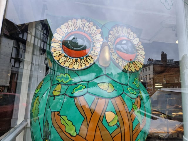 Colourful owls have flown into Arundel as part of the Wild in Art event The Big Hoot trail, raising money for Chestnut Tree House.