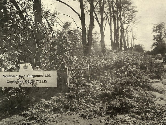 Turners Hill Road after the Great Storm 1987