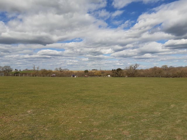 Keep to the right hand side of the field