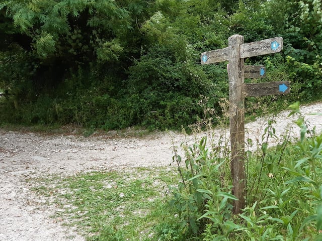 This signpost showing the South Downs Way gave me confidence I was on the right path