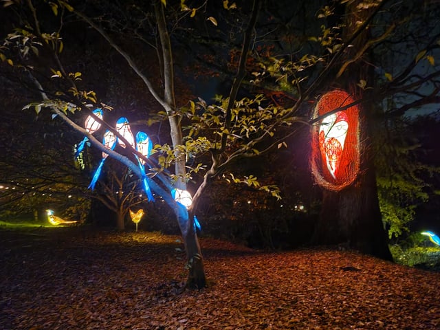 An enchanting winter lantern trail at Wakehurst Place