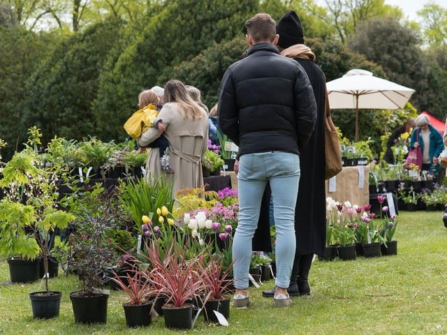 Summer Plant Fair 2023