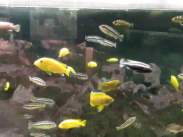 Tilgate Nature Centre