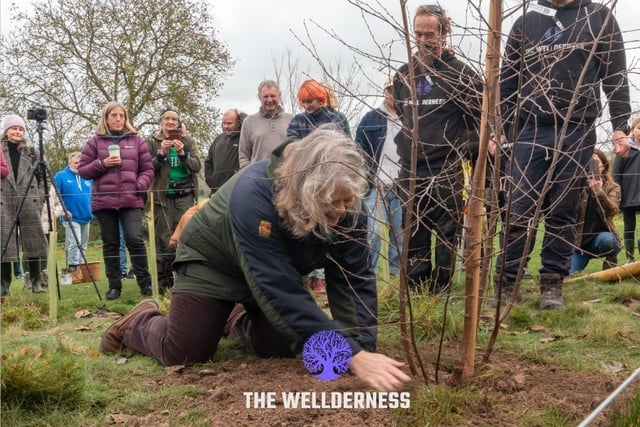 Planting the Queen’s Green Canopy Tree of Trees and 145 trees provided by South  Downs National Park at Wild Heart Hill campsite in Findon on Saturday, November 26, 2022.