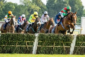 They race at Fontwell Park on Thursday for Ladies' Evening | Picture: Fontwell Park