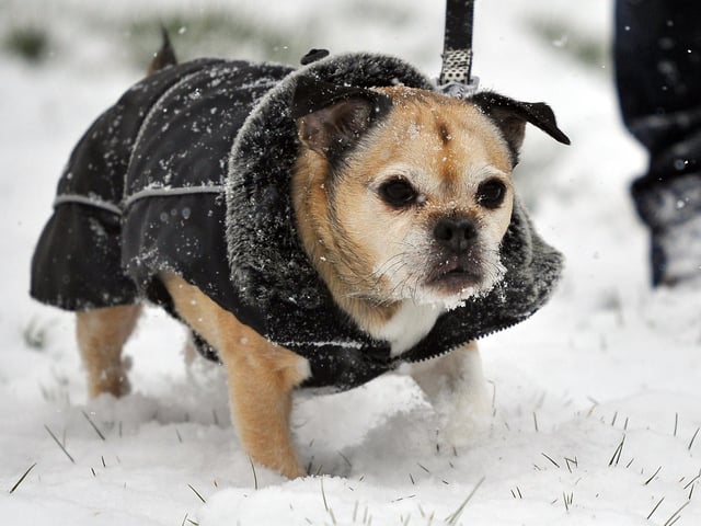 Fun in the snow in St John's park, Burgess Hill, on February 27, 2018