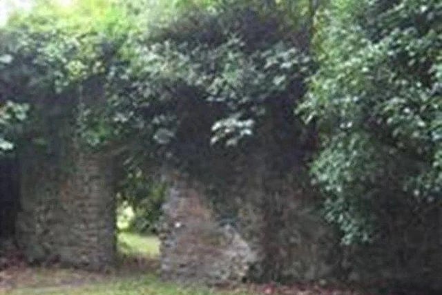 Ruins of late medieval manor house surrounded by new housing development, close to Old St Helens Church. The ruins are being damaged by heavy vegetation growth.