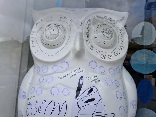 Colourful owls have flown into Arundel as part of the Wild in Art event The Big Hoot trail, raising money for Chestnut Tree House.