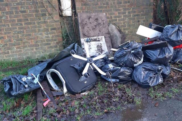 Some of the rubbish removed from around Carman Walk.