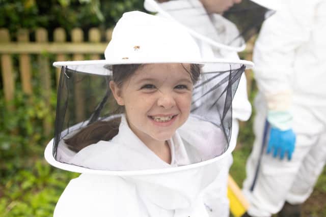 One of our beekeepers working hard at The Parkland Federation in Eastbourne.