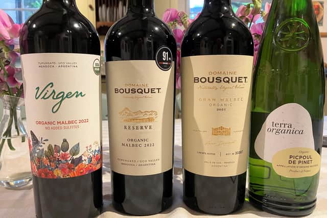 Organic Wines for September 2024